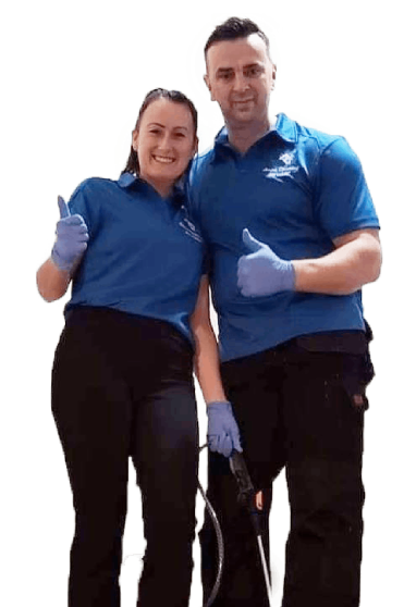 Our cleaning team