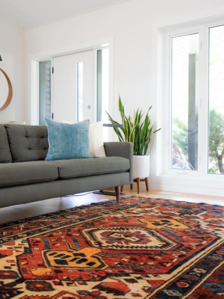 Rug in living room