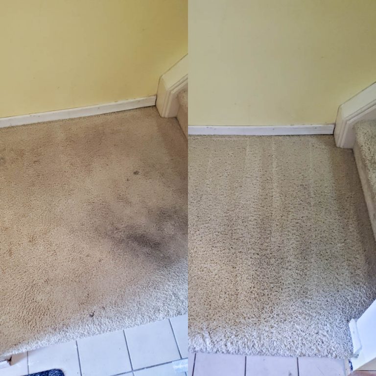 Best Carpet Cleaning Services in Kitchener & Waterloo