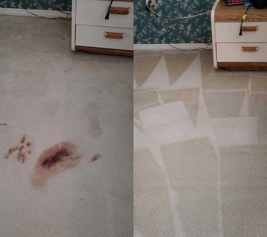 cleaning blood off carpets